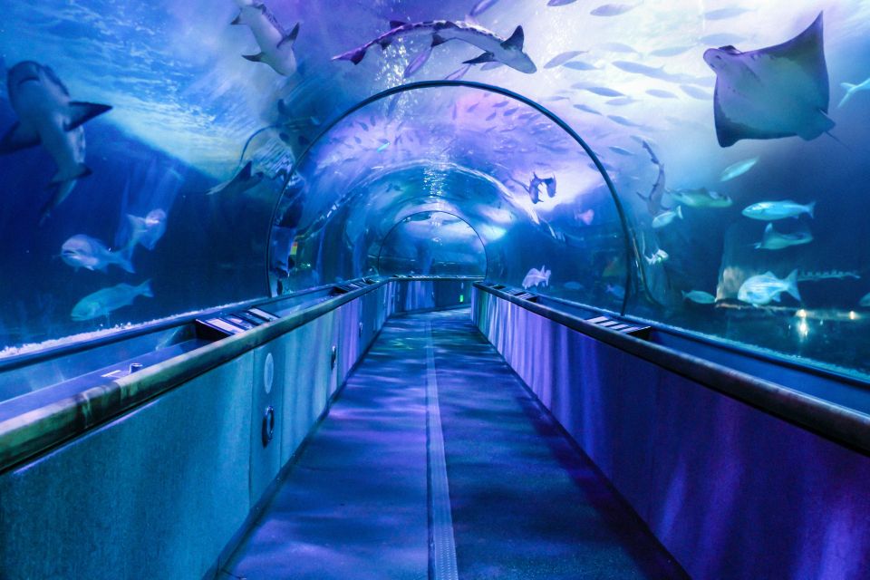 San Francisco: Go City All-Inclusive Pass 30+ Attractions - Escape rooms, theme-style thrills, and other included surprises