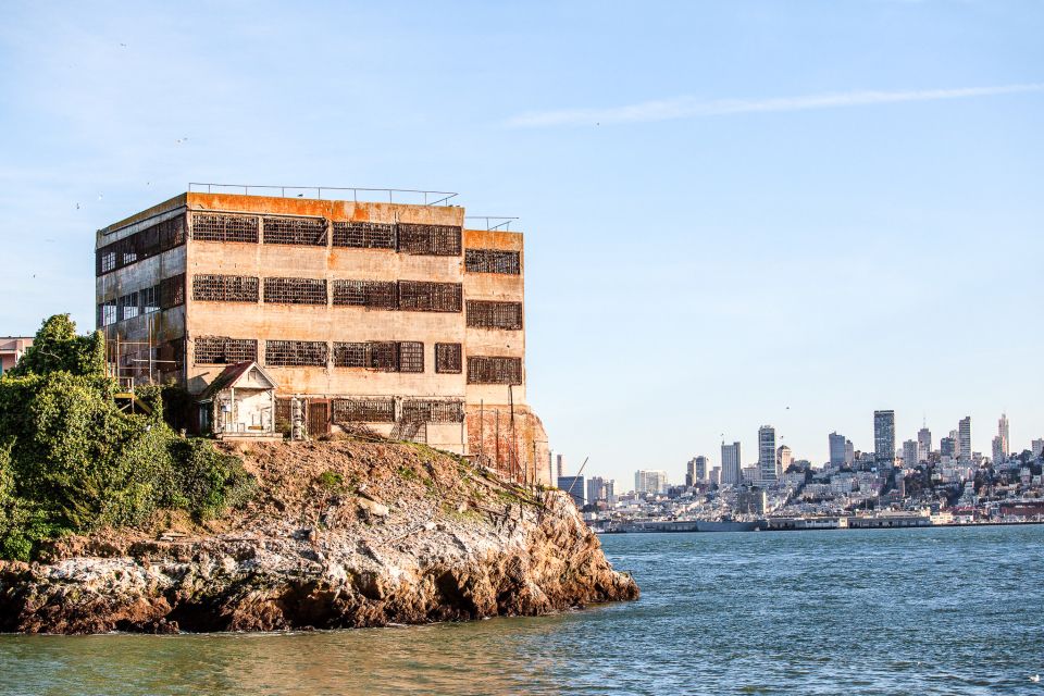 San Francisco: Golden Gate Bay Cruise (1-hour) - Wildlife: what you might spot (and how to keep it fun)
