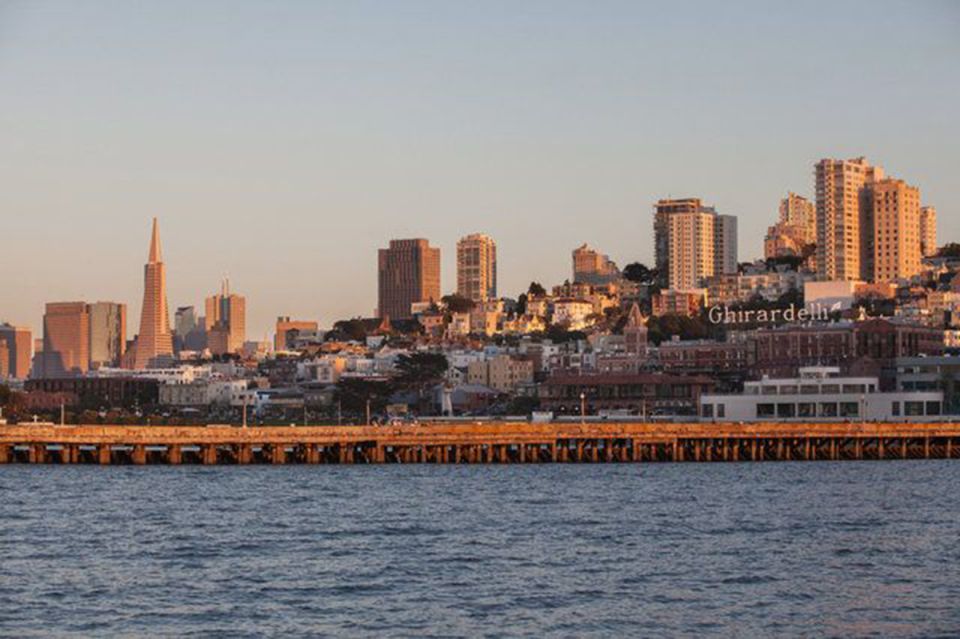 San Francisco: Golden Gate Bridge Catamaran Cruise - Wildlife spotting without the pressure