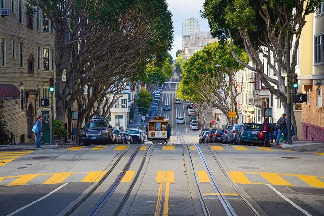 San Francisco Grand City Tour - Golden Gate Park: Windmills, Gardens, and Big-Map SF