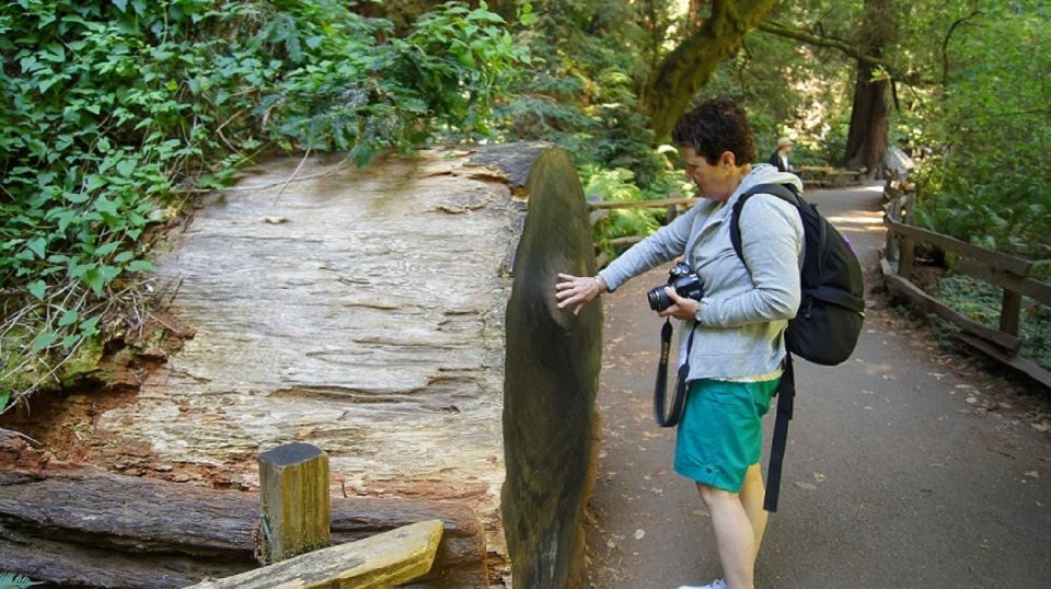 San Francisco: Guided Coastal Redwoods & Wine Country Tour - Key highlights that make this day trip work