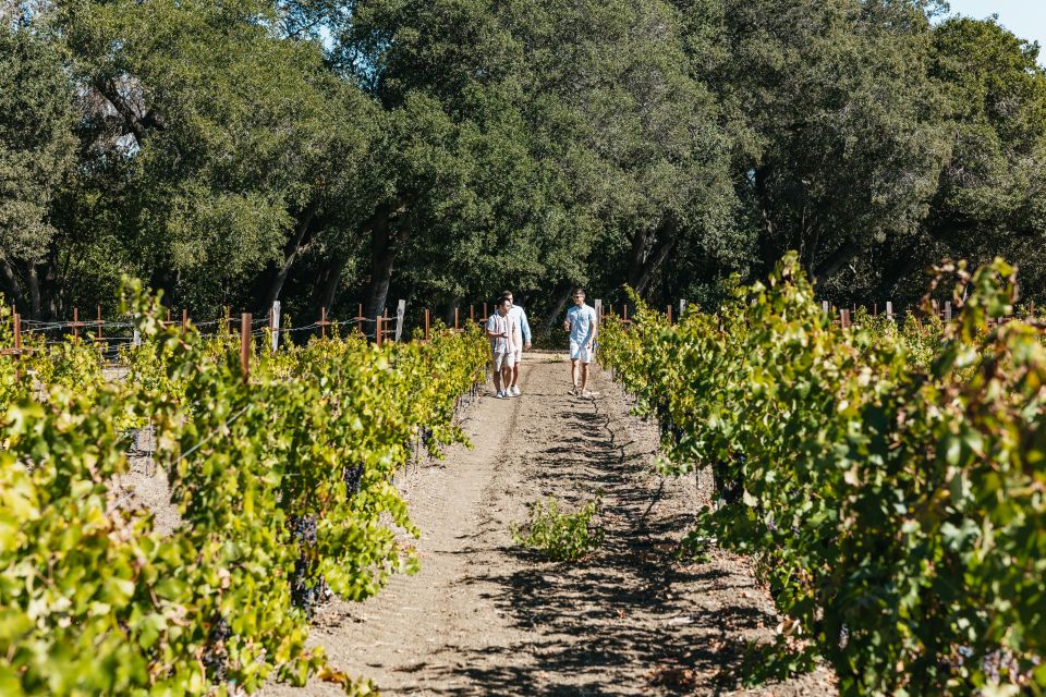 San Francisco: Half-Day Wine Country Excursion with Tastings - Price and Value at $109: What You’re Actually Paying For