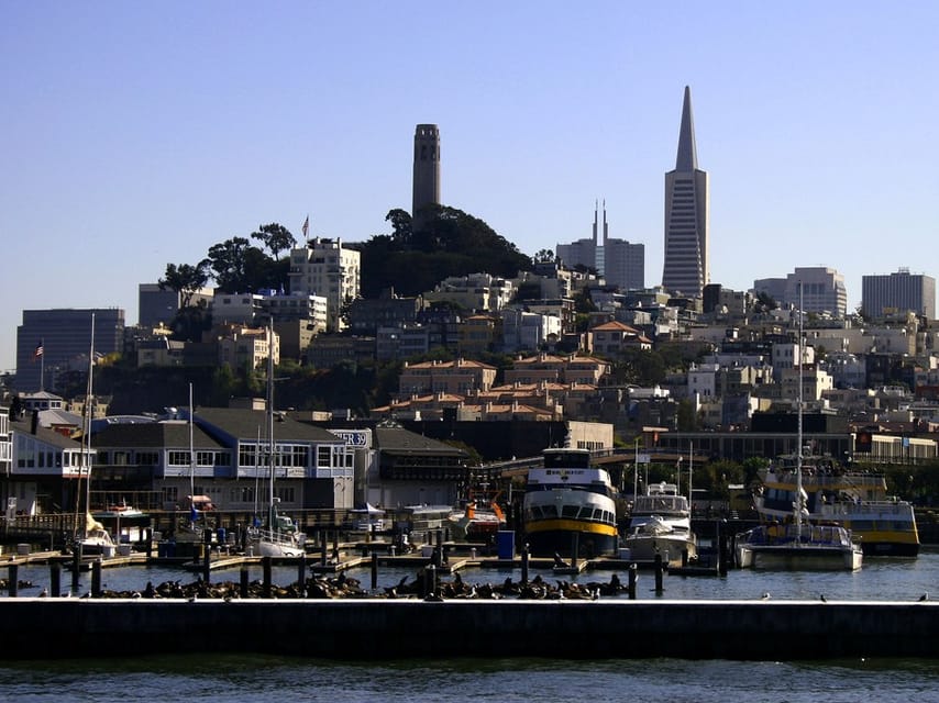 San Francisco: Hop-On Hop-Off City Bus Tour and Bay Cruise - The open-top ride across the Golden Gate Bridge