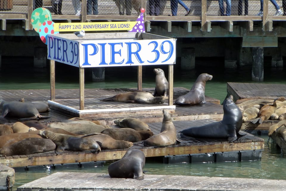 San Francisco: Hop-On Hop-Off Tour with Optional Night Tour - Choosing 1 day or 2 days: matching the pace to your style