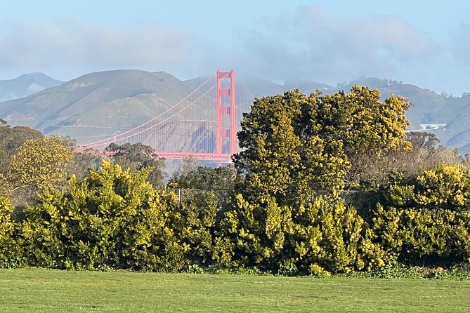 San Francisco: Major Landmarks Private Sightseeing Tour - Union Square to Chinatown: a quick downtown story