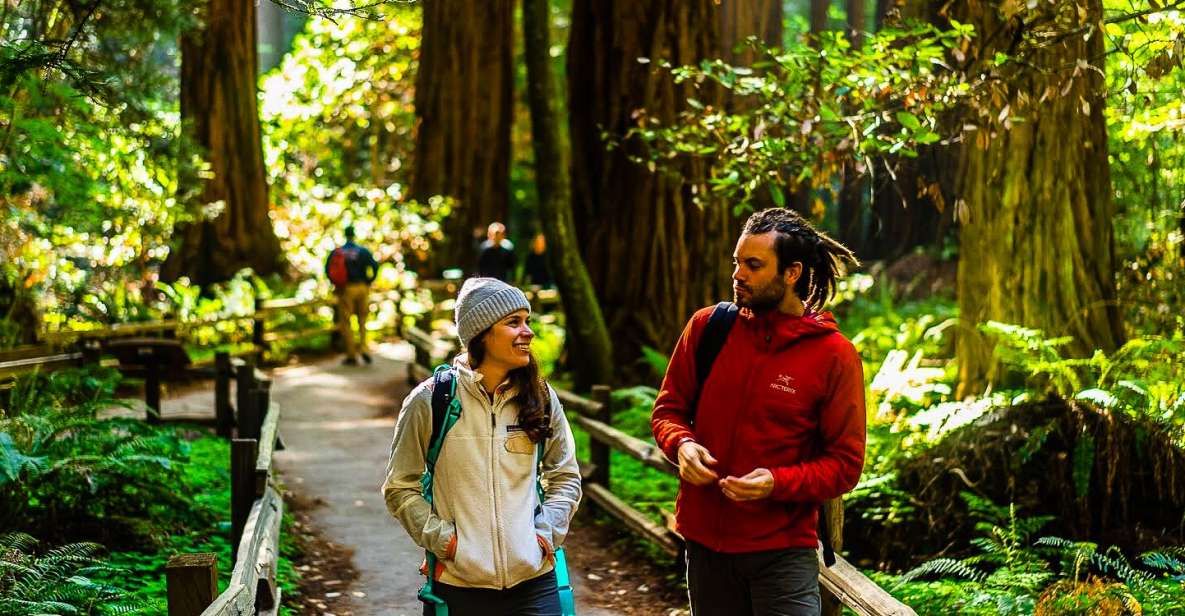 San Francisco: Muir Woods and Sausalito Half-Day Trip - A half-day route that covers real icons, not just photo ops