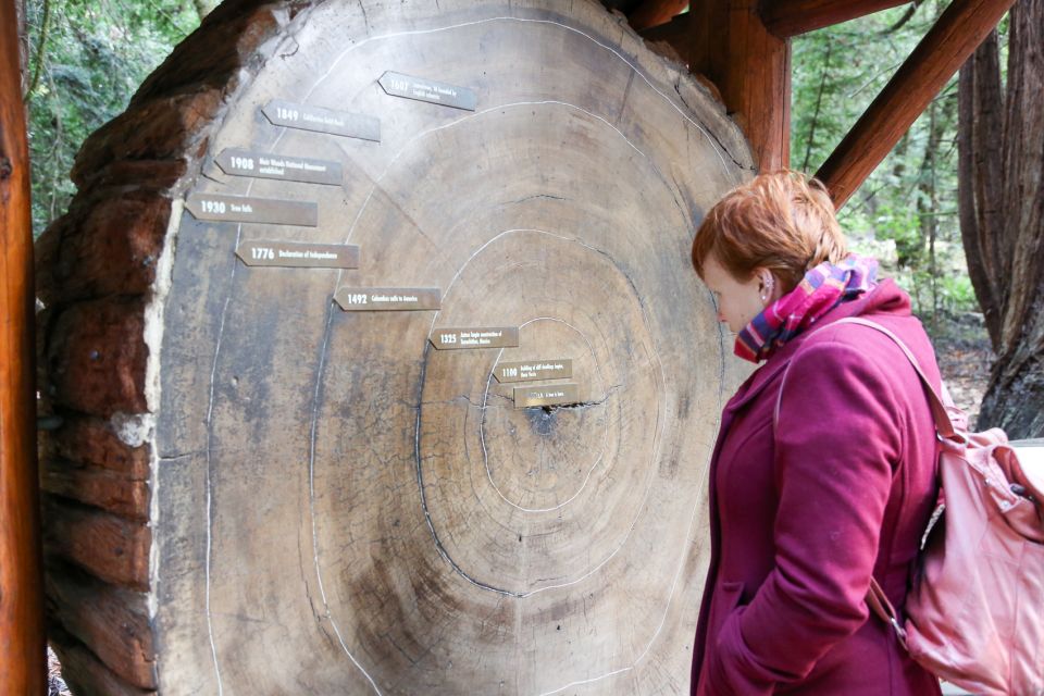 San Francisco: Muir Woods and Sausalito Half-Day Trip - The mini-bus narration to Sausalito: turn drive time into useful context