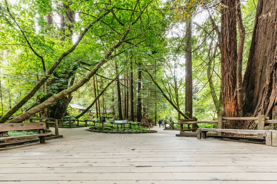 San Francisco: Muir Woods and Sausalito Small Group Tour - Muir Woods National Monument: making the most of 1 hour 15 minutes