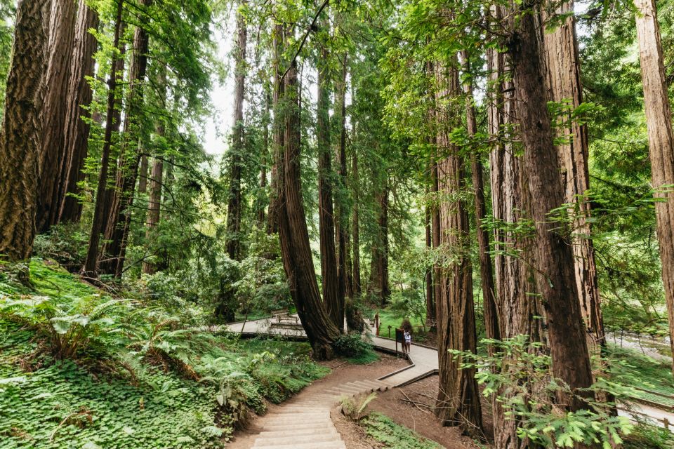 San Francisco: Muir Woods and Sausalito Small Group Tour - Ride timing, small-group size, and getting where you need to be