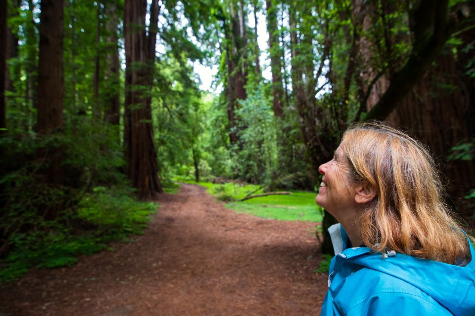 San Francisco: Muir Woods and Sausalito Tour with Admission - Key Highlights You’ll Actually Care About