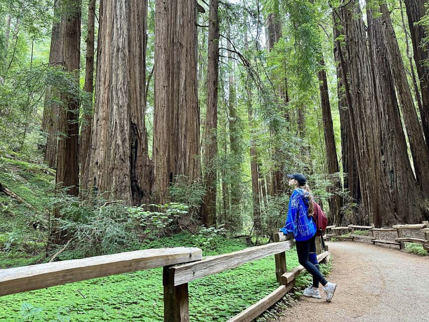 San Francisco: Muir Woods and Sausalito Tour with Admission - Sausalito for an Hour: Waterfront Views, Lunch Time, and Easy Photo Stops
