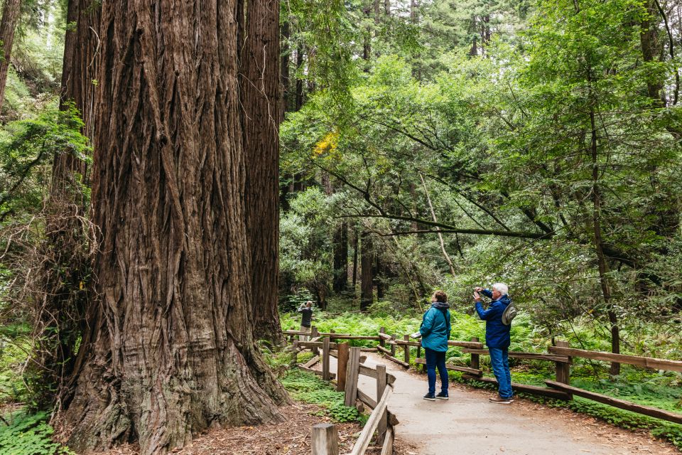 San Francisco: Muir Woods, Napa & Sonoma Valley Wine Tour - From Hotel Pickup to Redwoods: How the Morning Sets the Tone