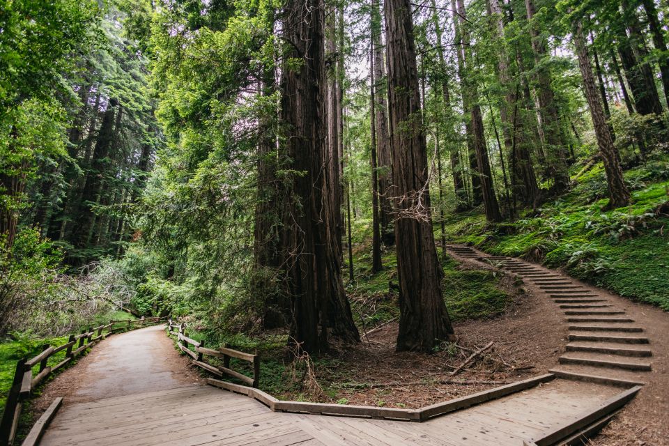 San Francisco: Muir Woods, Napa & Sonoma Valley Wine Tour - Transportation, Comfort, and Timing: Why This Day Works (and Where It Feels Tight)