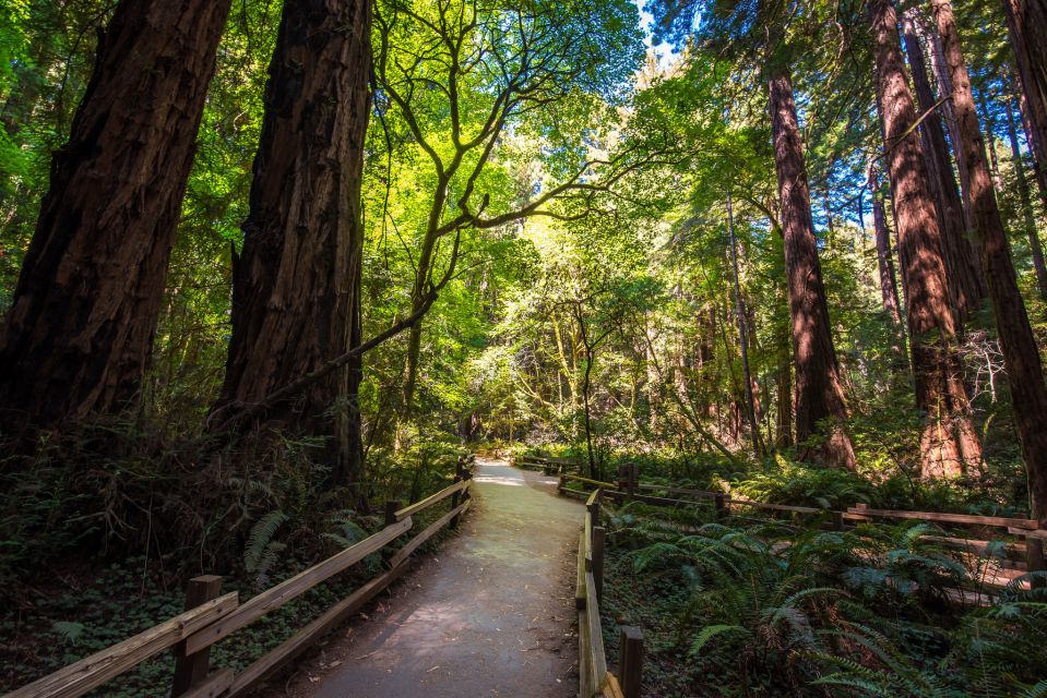 San Francisco: Muir Woods, San Francisco and Sausalito Tour - Key things I’d circle on your map