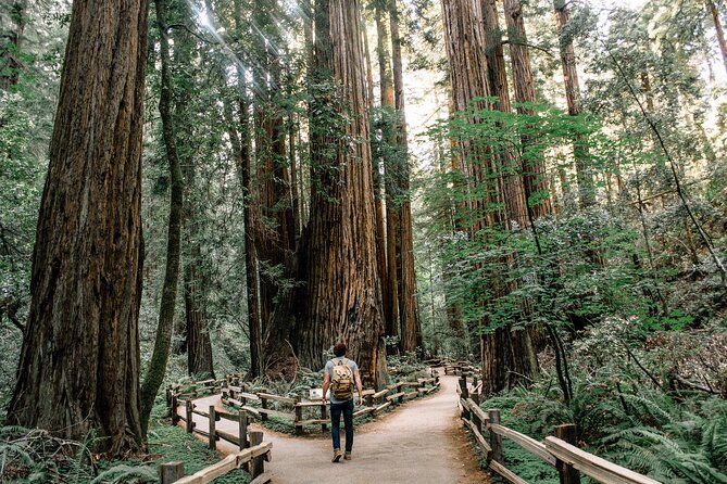 San Francisco, Muir Woods, Sausalito and optional Alcatraz tour - A tight SF loop that still feels worth your time