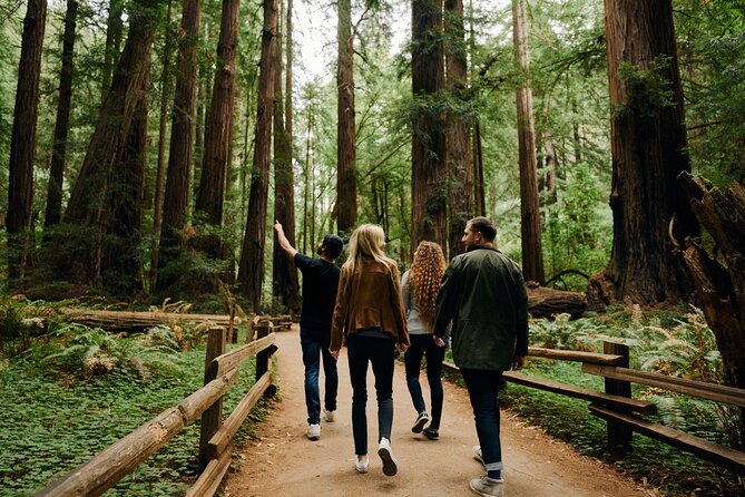 San Francisco, Muir Woods, Sausalito and optional Alcatraz tour - Muir Woods National Monument: walking among old redwoods