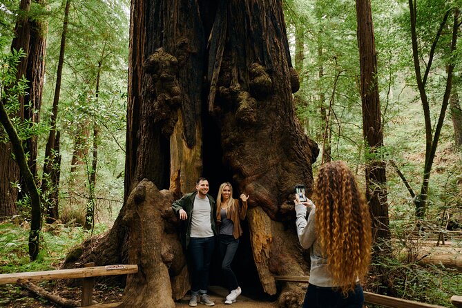 San Francisco, Muir Woods, Sausalito and optional Alcatraz tour - Sausalito waterfront: a scenic break with lunch on your own