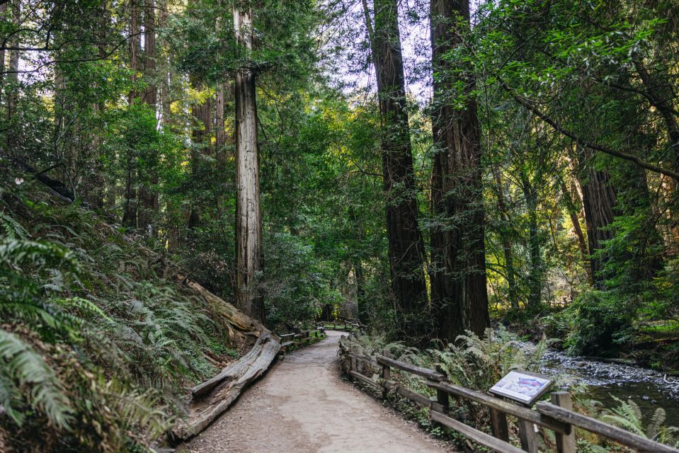 San Francisco: Muir Woods, Sausalito and SF Bay Cruise - Sausalito’s one-hour free time: charming waterfront, but plan your lunch wisely