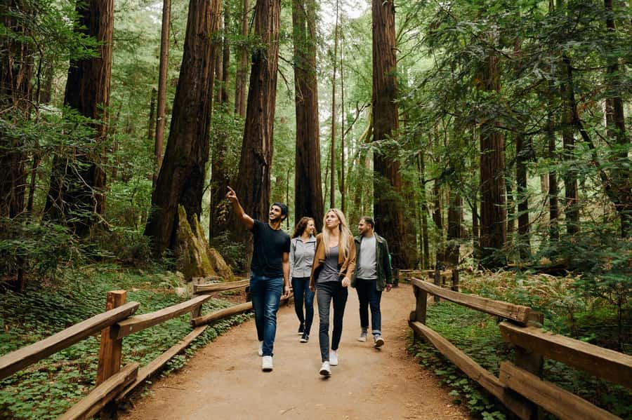 San Francisco: Muir Woods & Sausalito Tour w/Alcatraz Option - Key highlights that make this day worth it
