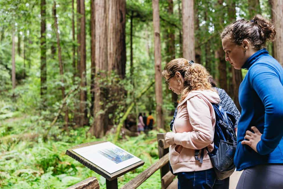 San Francisco: Muir Woods & Sausalito Tour with Ferry Option - Key things that make this tour work