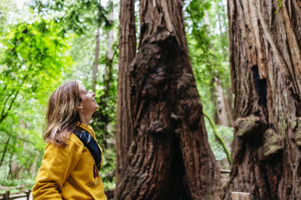 San Francisco: Muir Woods & Sausalito Tour with Ferry Option - A half-day built around giant redwoods and a real coastal town