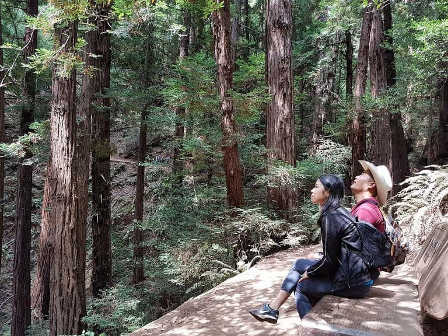 San Francisco: Muir Woods Tour & Golden Gate Bay Cruise - From Fisherman’s Wharf to the redwoods: the big picture