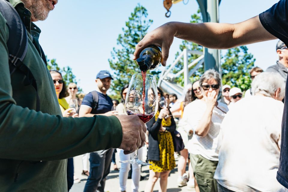 San Francisco: Napa and Sonoma Valley Wine Tour - Key points before you go