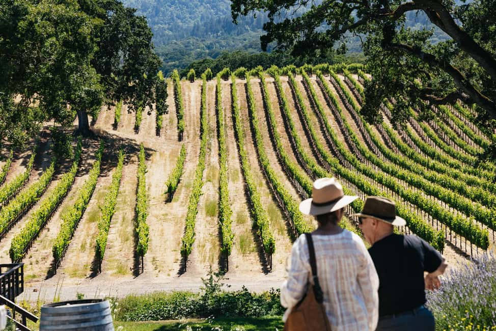 San Francisco: Napa and Sonoma Valley Wine Tour - Golden Gate Bridge Photo Stop: Fast, Scenic, and Worth It