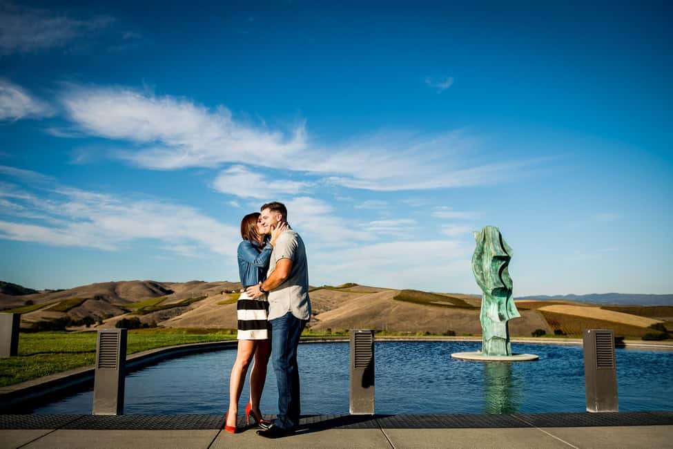 San Francisco: Napa and Sonoma Valley Wine Tour - The Afternoon Winery: Don’t Rush This One