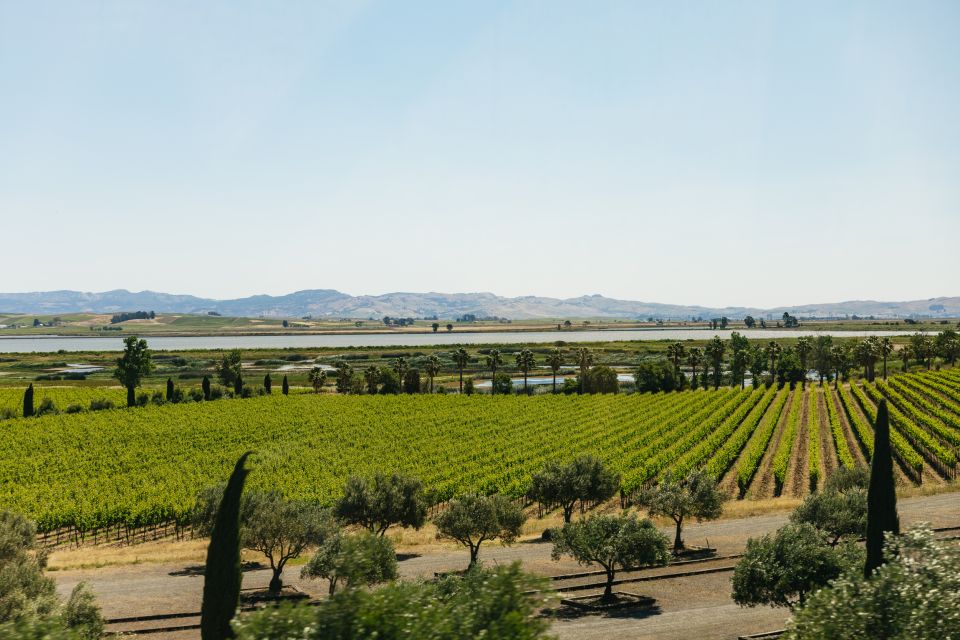 San Francisco: Napa and Sonoma Valley Wine Tour - Price and Value at $163: What You’re Really Paying For