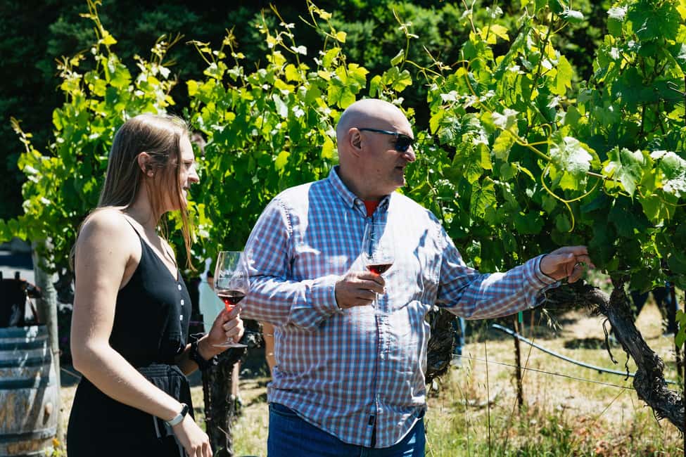 San Francisco: Napa and Sonoma Valley Wine Tour - The Logistics That Can Make or Break Your Day