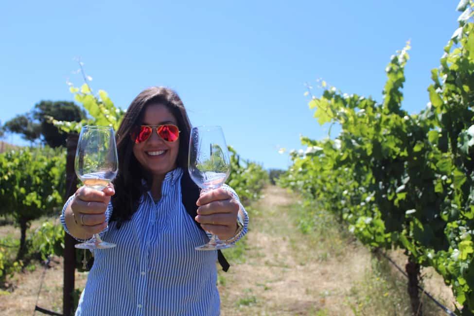 San Francisco: Napa and Sonoma Valley Wine Tour - Getting There Comfortably: Pickup Points and a Realistic Time Budget