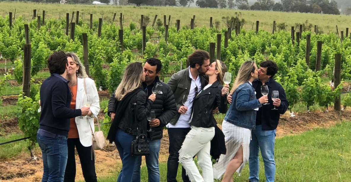 San Francisco: Napa Valley Half-Day Wine Tour with Tastings - Winery visit one: estate time, barrel room stories, and 3–5 tastings