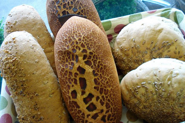 San Francisco: North Beach and Little Italy Food Tour - Who this tour suits best (and who should rethink it)