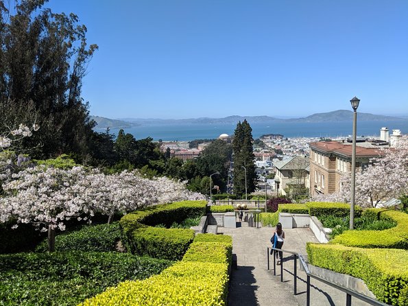 San Francisco Private City Tour - Golden Gate Bridge and Marin Headlands: the main event