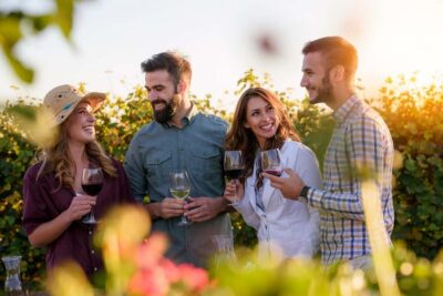 San Francisco: Redwood & Wine Country Tour with Lunch & Wine - Muir Woods before the crowds: a one-hour walk in old-growth giants