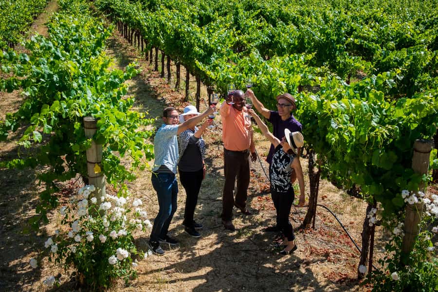 San Francisco: Redwood & Wine Country Tour with Lunch & Wine - Who should book this Redwood and Wine Country day—and who might not