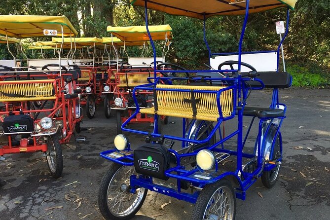 San Francisco: Scenic Surrey Ride Through Golden Gate Park - Key things I’d anchor on before you book