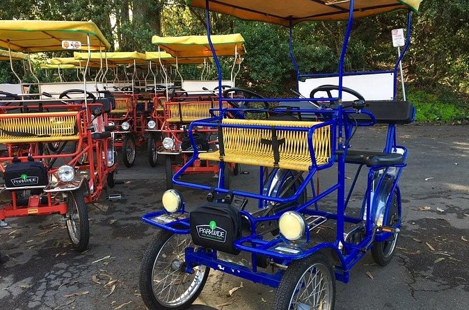 San Francisco: Scenic Surrey Ride Through Golden Gate Park - How Hard Is It, Really? One Gear, Heavy Pedals, and Shared Surrey Roads