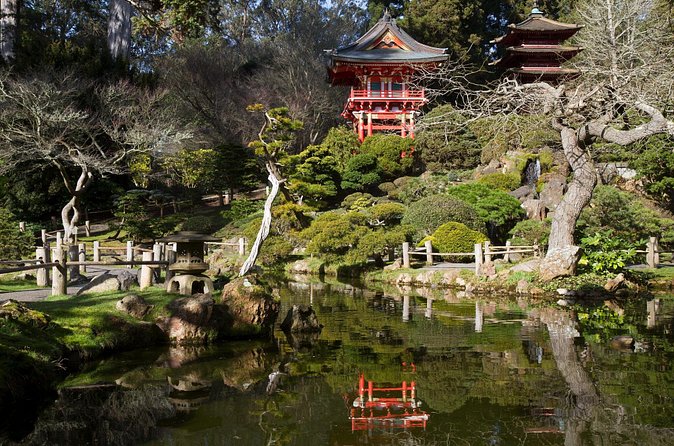 San Francisco: Scenic Surrey Ride Through Golden Gate Park - A Quick Reality Check Before You Go