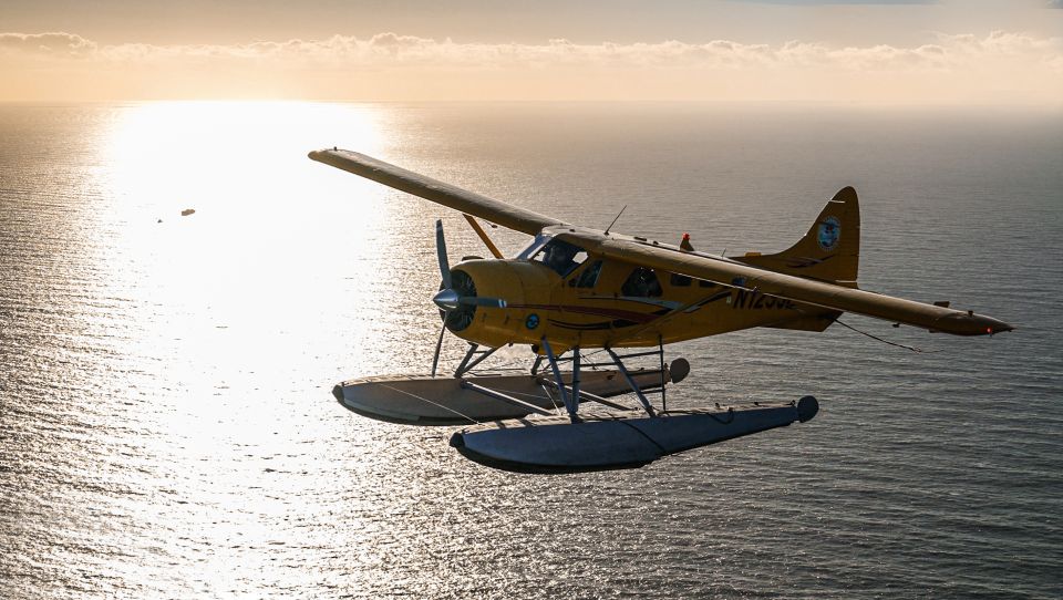 San Francisco: Seaplane Flight with Champagne - Key Points to Know Before You Fly
