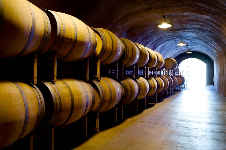 San Francisco: Sonoma Wine Country Tour with Tastings - Who this Sonoma tour is best for (and who should skip it)