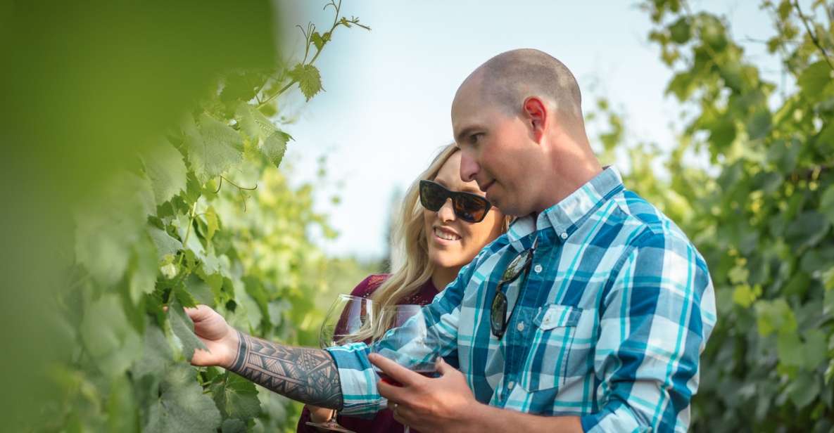 San Francisco: Sonoma Wine Country Tour with Tastings - A small-group Sonoma day trip from San Francisco (with real guided energy)