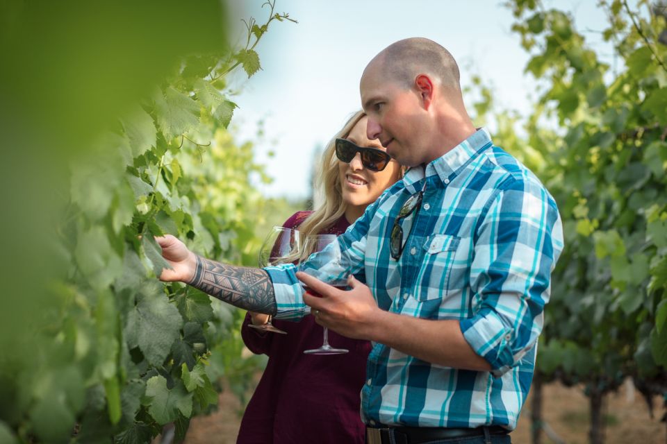 San Francisco: Sonoma Wine Country Tour with Tastings - Sonoma Valley’s three boutique wineries: tasting variety that teaches