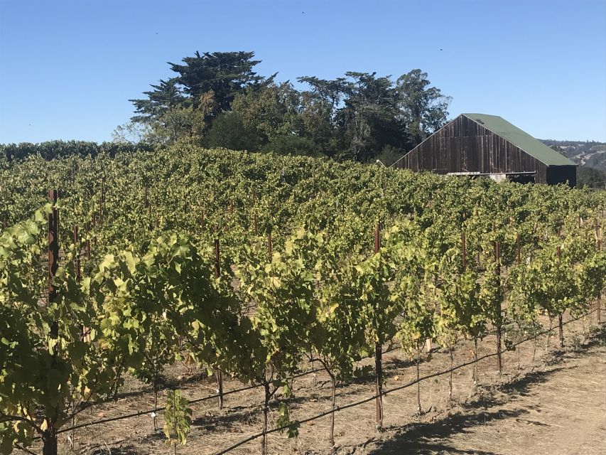 San Francisco: Sonoma Wine Country Tour with Tastings - Packing smart: ID, shoes, and the no-large-bags rule