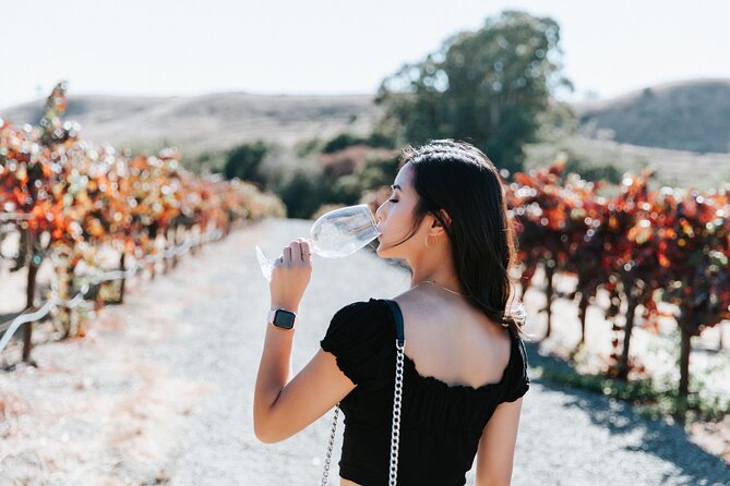 San Francisco Super Saver: Muir Woods & Wine Country w/ optional Gourmet Lunch - The bridge photo stop and the return to San Francisco