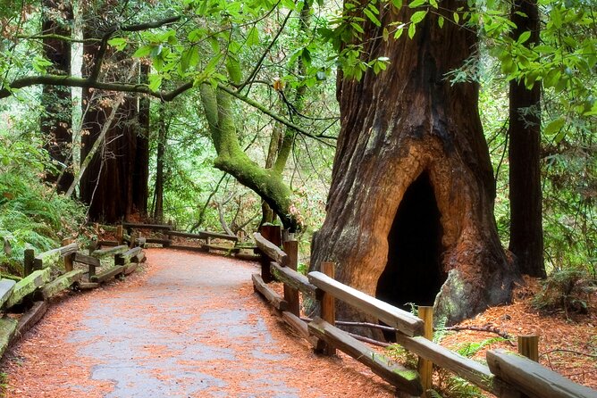 San Francisco to Muir Woods Shuttle - Price and value: what $79 buys (and what you pay separately)