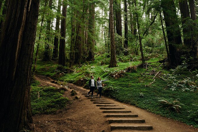 San Francisco to Muir Woods Shuttle - Group size, timing, and guide energy (Dominic, Per, Barry, Roger, Evan)