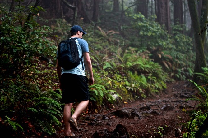 San Francisco to Muir Woods Shuttle - Should you book the San Francisco to Muir Woods shuttle?