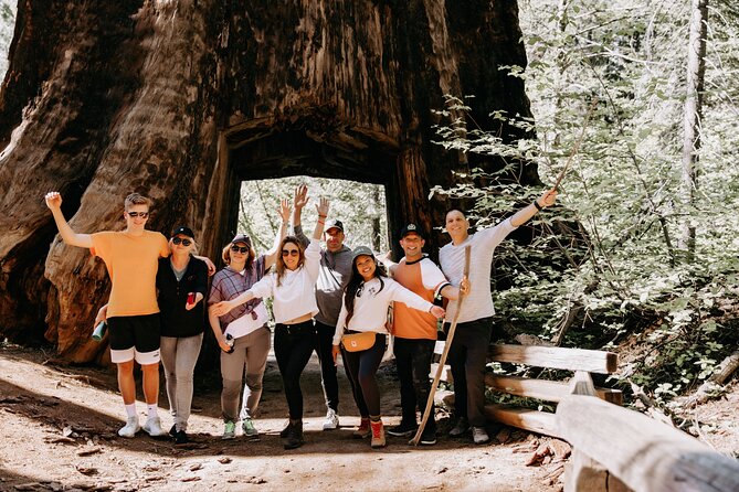 San Francisco to Yosemite One-Way Transfer - Key highlights to plan around